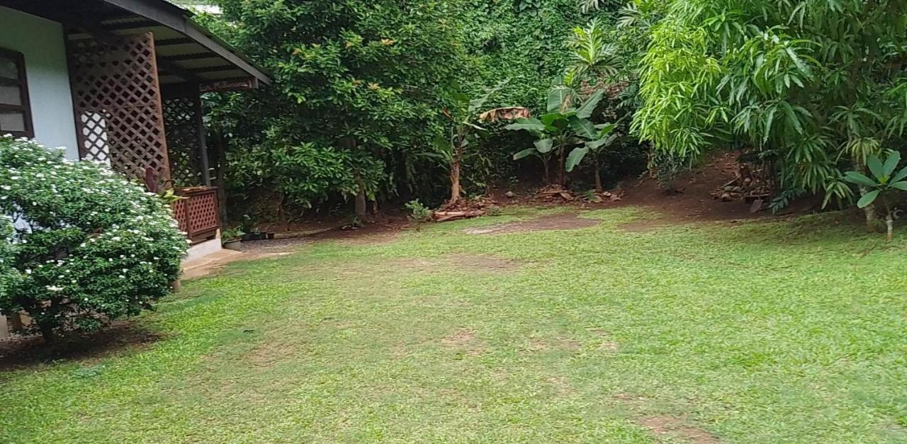 فندق Fare Mihimana Vai'are المظهر الخارجي الصورة